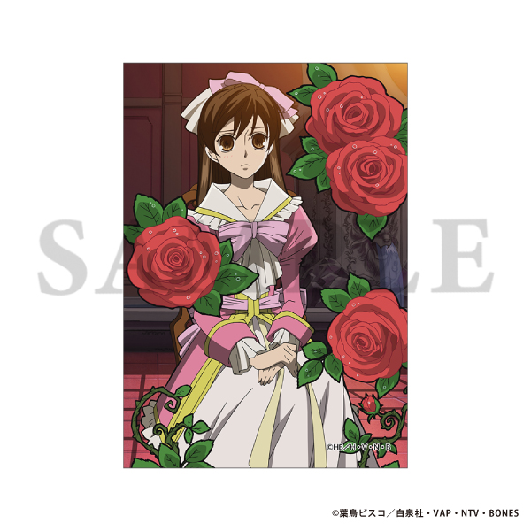 �������Z�z�X�g�� ��ʎʃu���}�C�h�Z�b�g�^��3�e