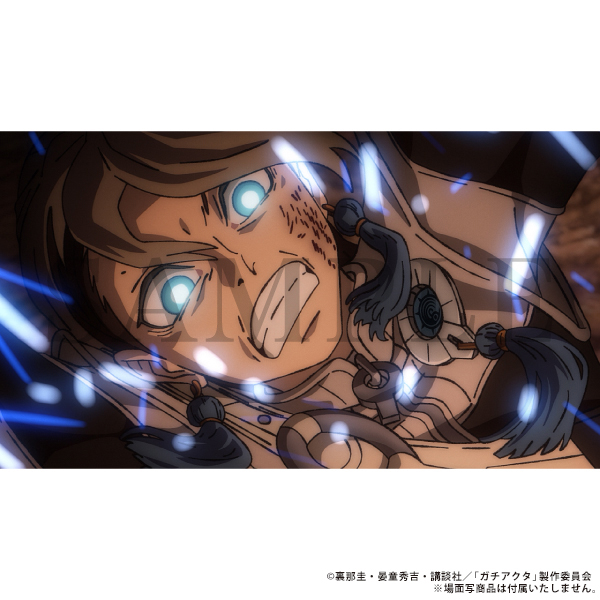 �K�`�A�N�^ �U���J�̃o�b�W