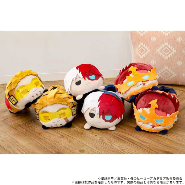 �l�̃q�[���[�A�J�f�~�A �X���b�p�^���œ�