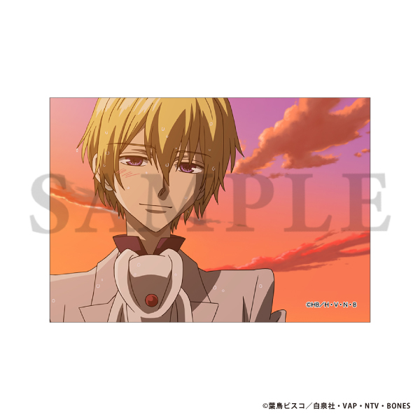 �������Z�z�X�g�� ��ʎʃu���}�C�h�Z�b�g�^��3�e