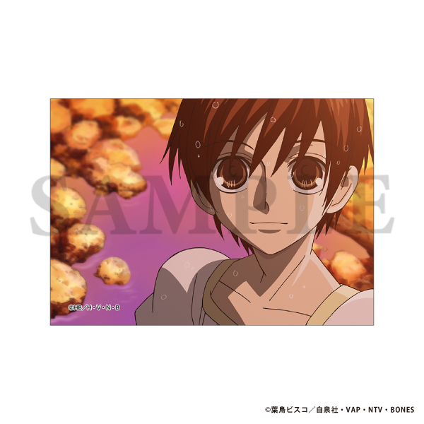 �������Z�z�X�g�� ��ʎʃu���}�C�h�Z�b�g�^��3�e